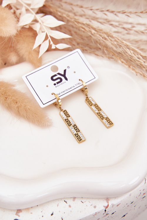 Visiace náušnice so zirkónmi Pozlátená oceľ