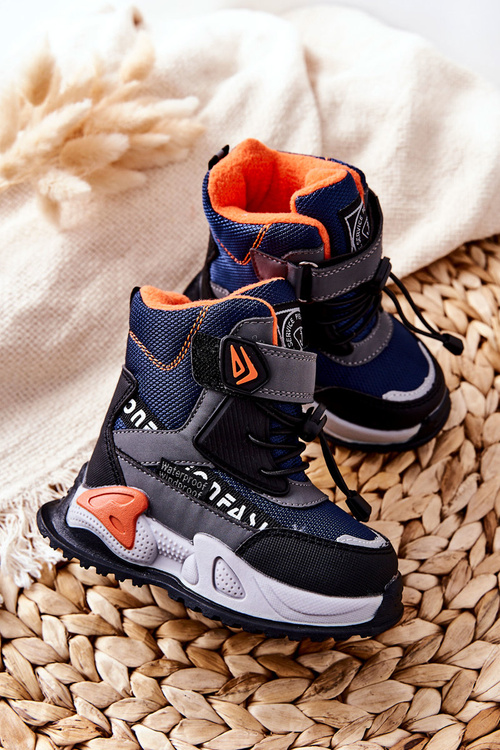 Izolovaný granátový jablko a šedý suchý suchý suchý suchý suchý