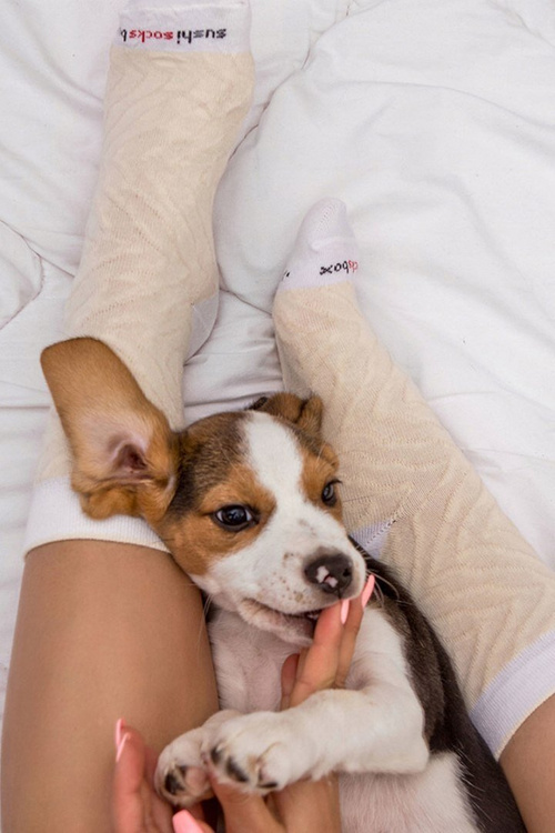 Ponožky dúhové ponožky sushi 1 pár maslových rýb