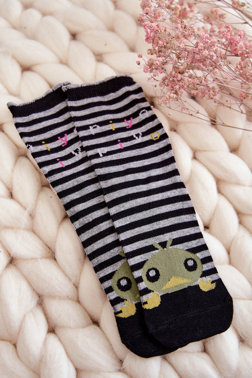 Dámské legrační bavlněné ponožky 5-balení vícebarevné