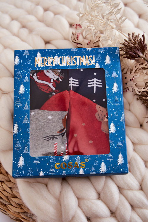Sada pánských vánočních ponožek Cosas, Mix 2