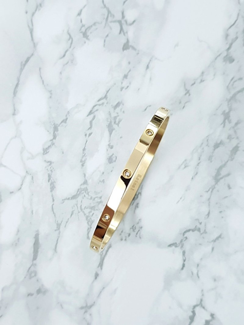 Dámský Náramek z nerezové oceli se Zirkony 4mm Zlata Valerii