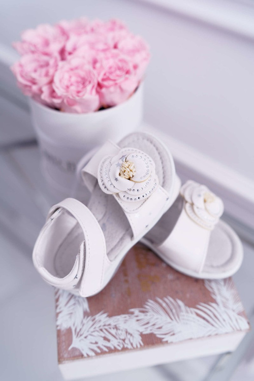 Detské suchý suchý suchý suchý suchý suchý suchý suchý suchý sucha