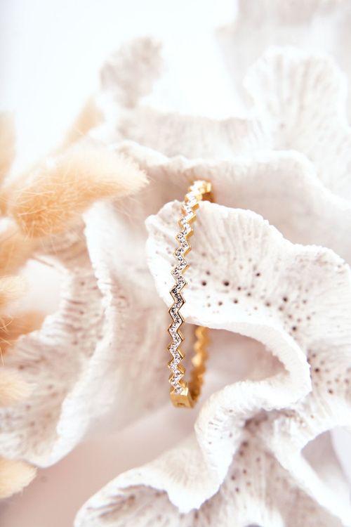 Dámský Náramek z nerezové oceli se Zirkony Zlatý Crown