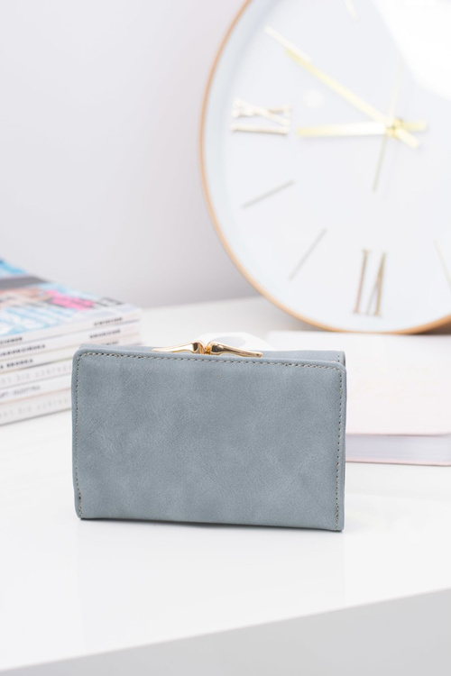 Small Women's Grey Wallet On Bigiel