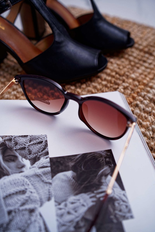 Sluneční Brýle Prius PR-V41 hnědé