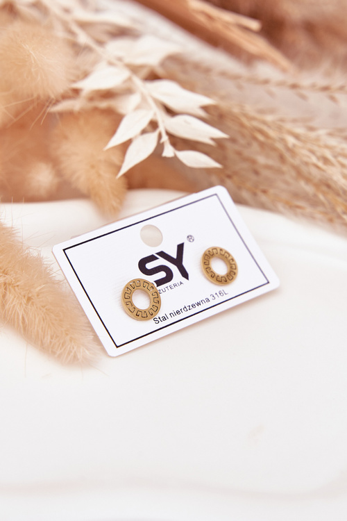 Zlaté Náušnice Kroužky Ze Nerezové Oceli