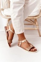 Odtiene hnedej a béžovej || Zlatá