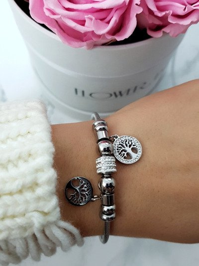 Dámský Náramek Na ocelové lince stříbrné přívěsky Charms