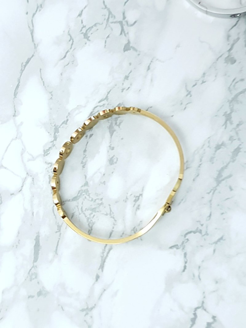 Dámský Náramek Ocel se zirkonem zlata Vien