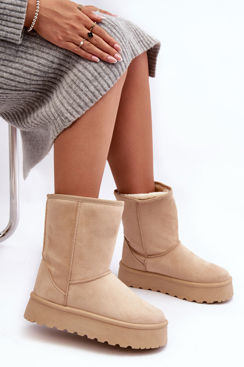 Dámske snehové topánky izolované béžovou kožušinou