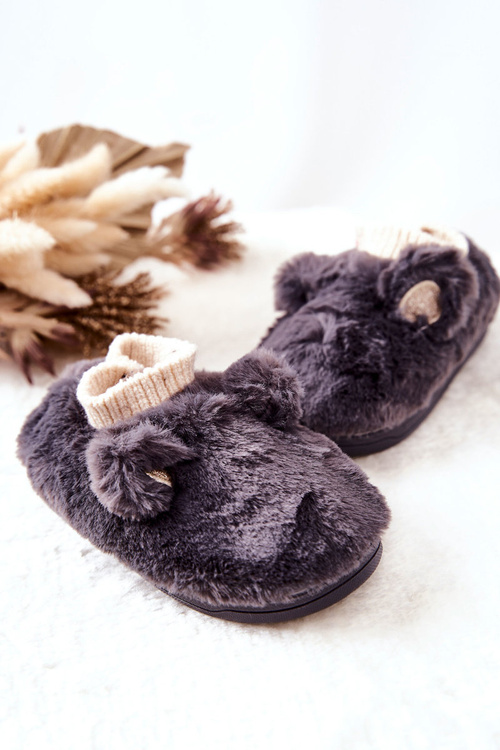 Papcie izolovaný tmavo šedou desi