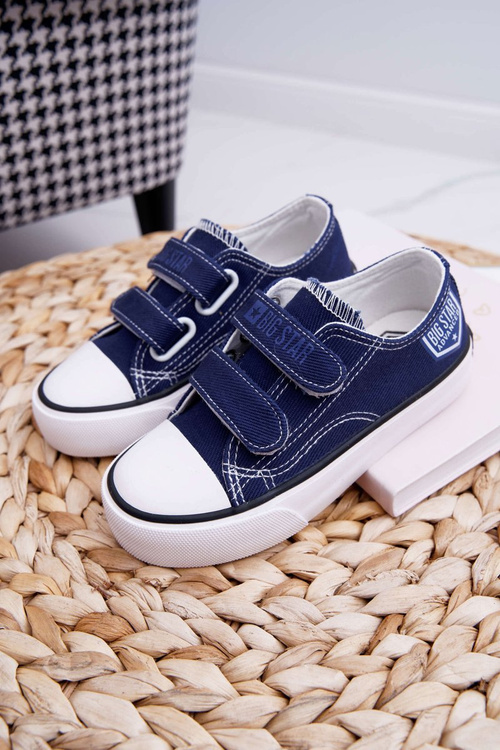 Veľká hviezda ff374064