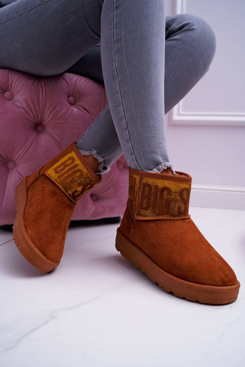 Dámske snehové topánky Izolované hnedé veľké hviezdy EE274259