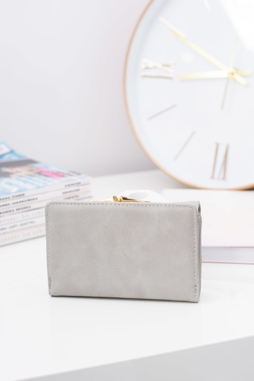 Small Women's Grey Wallet On Bigiel