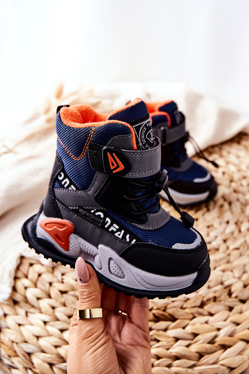 Izolovaný granátový jablko a šedý suchý suchý suchý suchý suchý