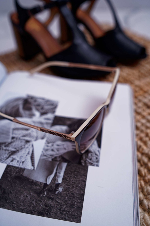 Sluneční Brýle Prius PR-V33 hnědo-béžové