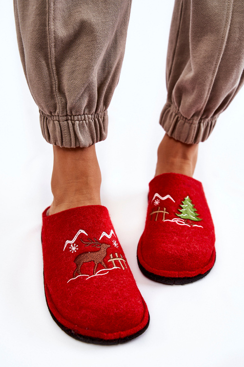 Domáca papci veľká hviezda KK276017 Red-Beige