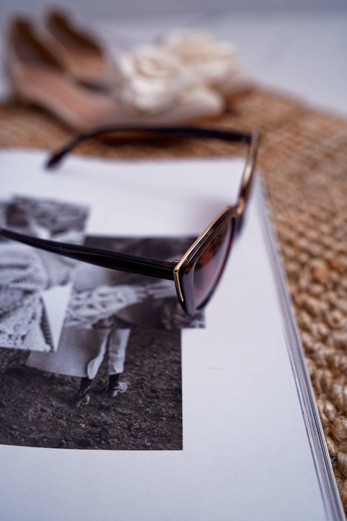 Sluneční Brýle Prius PR-V36 hnědé