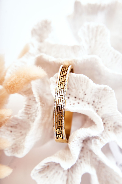 Dámský ocelový náramek se sponou se kubickými zirkony zlata