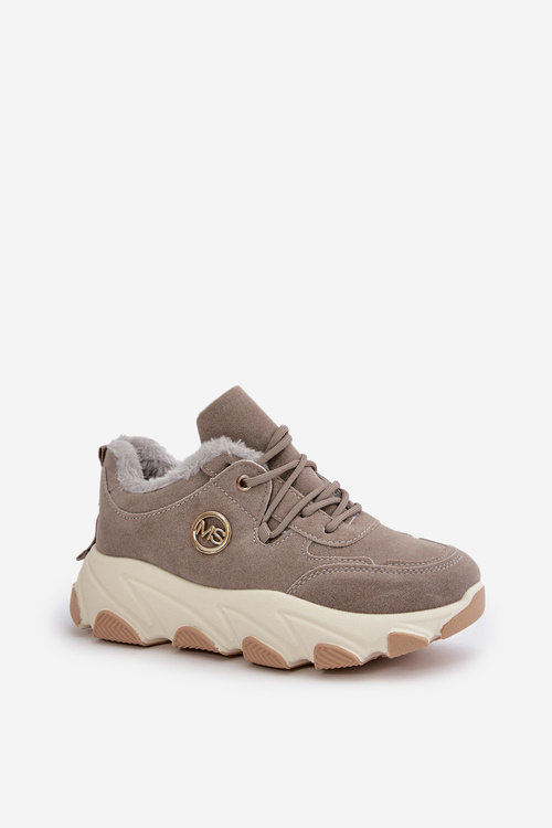 Zateplené Dámské Sportovní Boty Na Platformě Šedé Bialoa