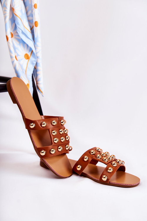 Dámské klasické pantofle s ozdobami Hněde Scotlyn