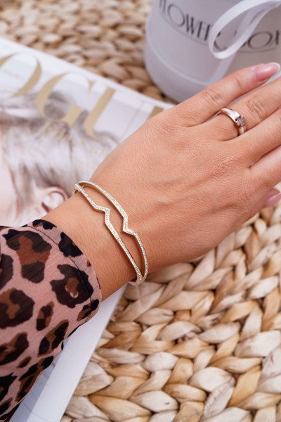 Dámský Náramek z nerezové oceli se Zirkony Zlatý Grenn