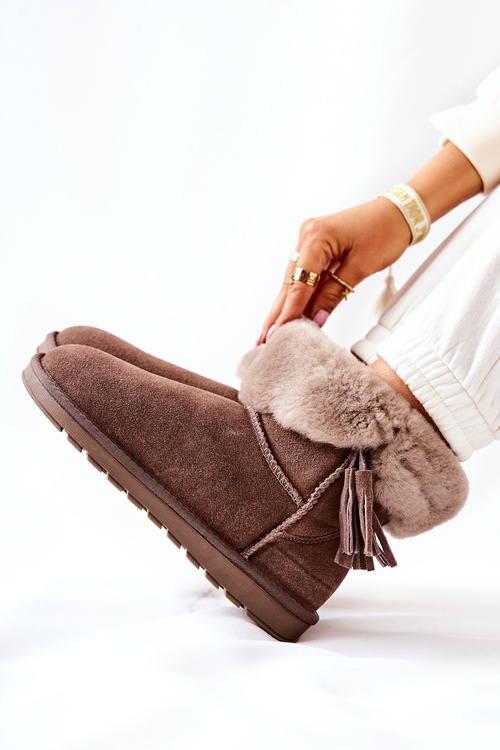 Sněžnice s třásněmi Hnědá Sorella