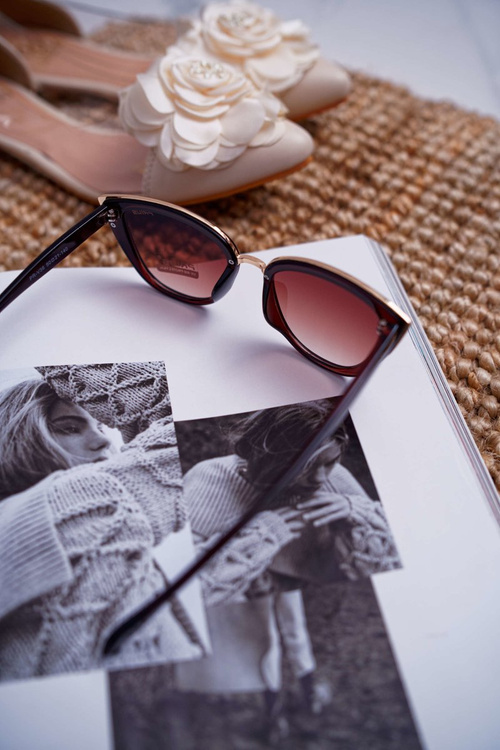 Sluneční Brýle Prius PR-V36 hnědé