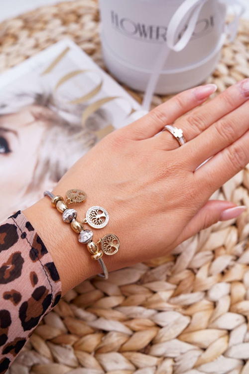 Dámský Náramek s Přívěsky Stříbrná Zlata Mythic