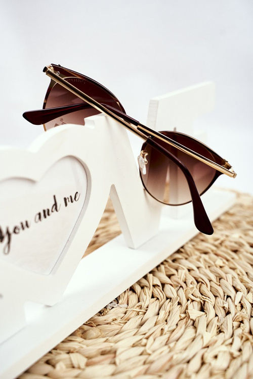 Sluneční Brýle Prius PRE-17 Hnědý Zrcadlové Brýle Hmyz