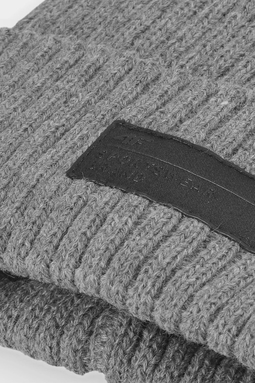 Mužská izolovaná zimná čiapka 4F 4FAW23ACAPM306-24M Šedá