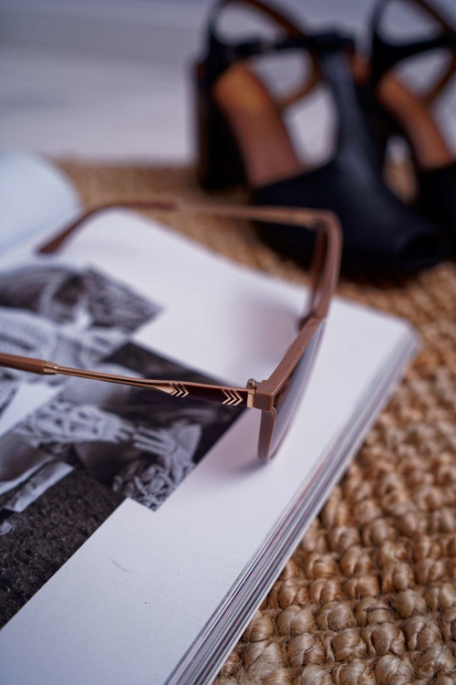 Sluneční Brýle Prius PR-V41 kávově matné