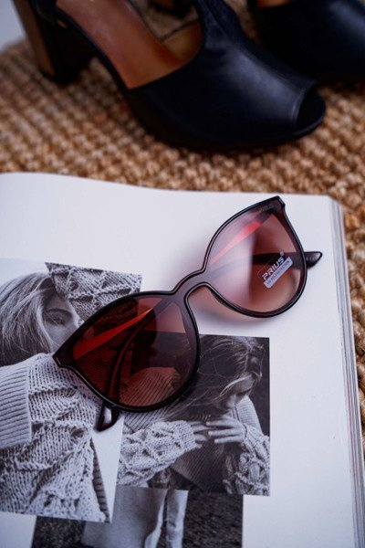 Sluneční Brýle Prius PR-V41 hnědé