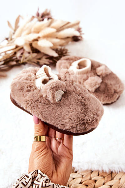 Papcie izolovaný hnedou Dessi