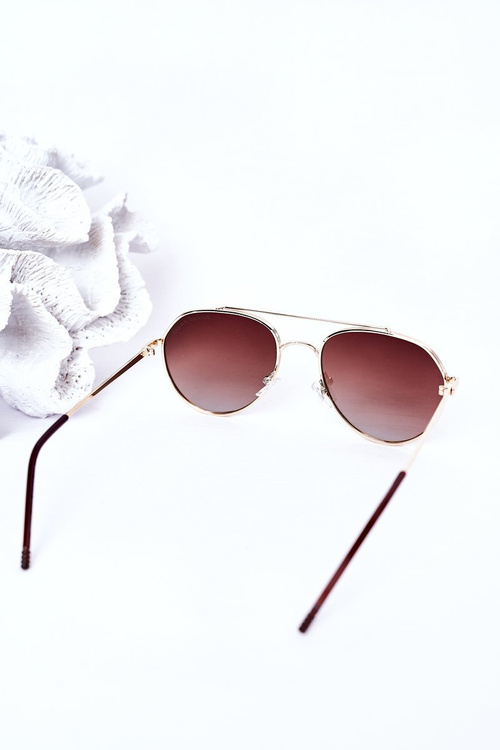 Sluneční Polarizované Brýle Aviator Hnědé