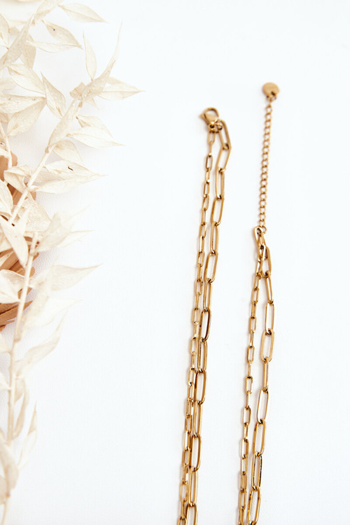 Dvojitý řetěz S Jetelem A Motýly Zlate