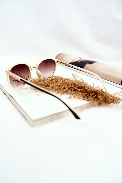 Sluneční Brýle Prius PR-V68 Černé Béž