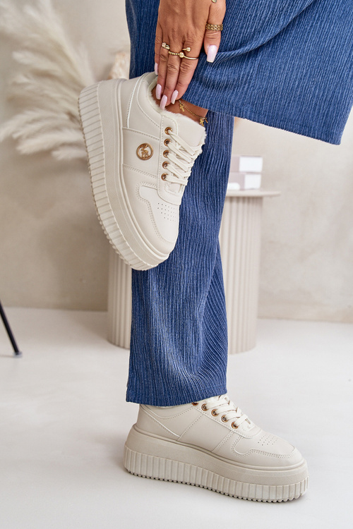 Sneakersy Sportovní Boty Dámské Zateplené Na Masivní Podešvi Béžové Verissha