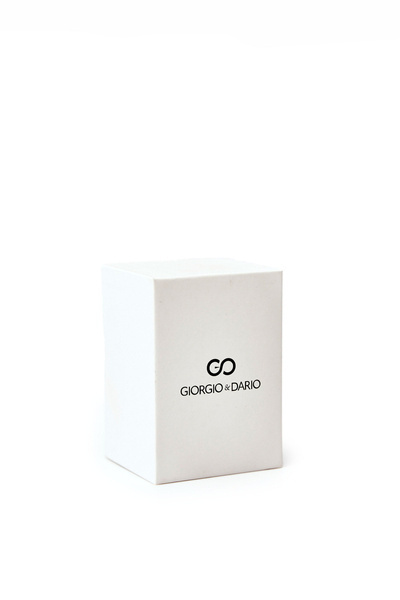 Giorgio a Dario Biele Watch Box