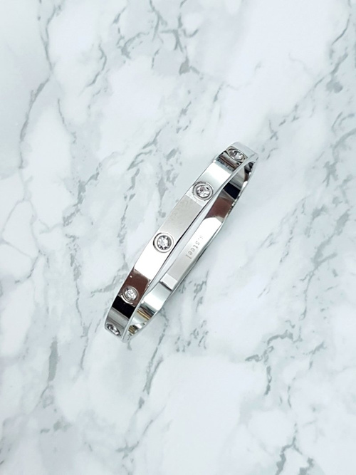 Dámsky oceľový náramok s zirkónmi strieborný 6 mm valeria